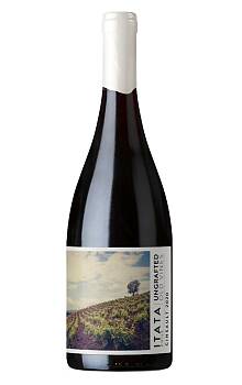 De Martino Ungrafted Old Vines Itata Cinsault