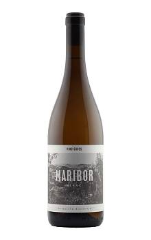 Vino Gross Maribor Blanc