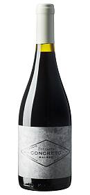 Zuccardi Concreto Malbec