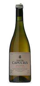 Vale da Capucha San Jose Arinto