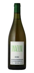 Dinavolino
