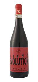 Paulo Berta Evolution Barbera d'Asti
