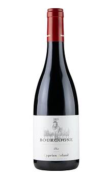Cyprien Arlaud Oka Bourgogne Rouge