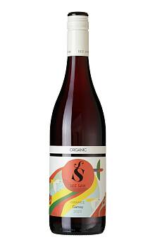 See Saw Orange Gamay