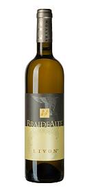 Livon Braide Alte 2014
