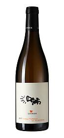Loimer Grüner Veltliner mit Achtung
