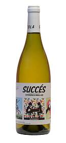 Succés Experiència Parellada