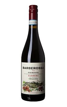 Barberossa Piemonte Barbera
