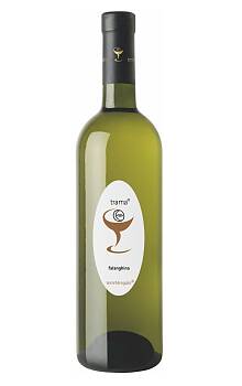 Terre Stregate Trama Falanghina