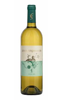 Serra Ferdinandea Bianco