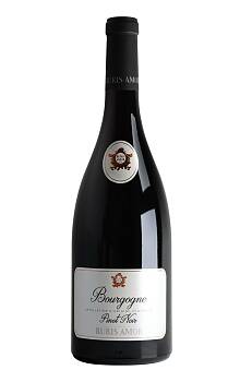 La Chablisienne Ruis Amor Bourgogne Pinot Noir
