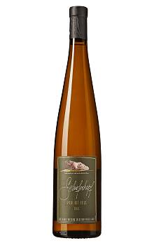 Schieferkopf Lieu-dit Fels