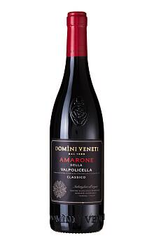 Domìni Veneti Amarone della Valpolicella Classico