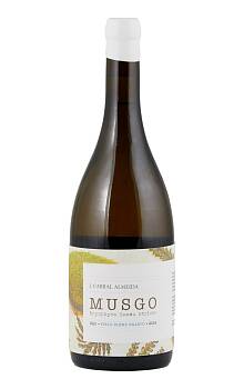 João Cabral Almeida Musgo Field Blend Branco
