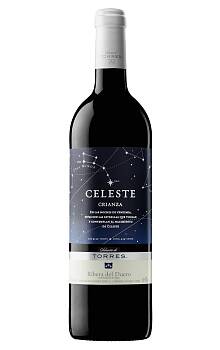 Torres Celeste