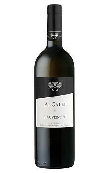 Ai Galli Sauvignon Veneto