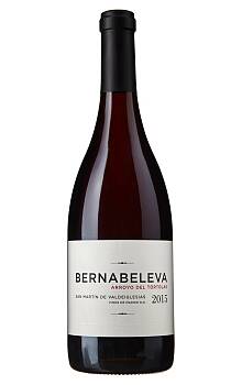 Bernabeleva Arroyo del Tórtolas
