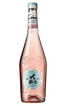 Canei Grapefruit