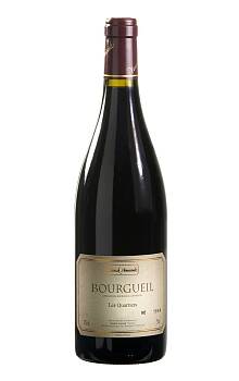 Amirault Bourgueil Les Quartiers