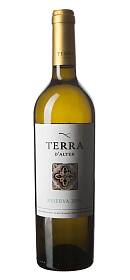 Terra d'Alter Reserva Branco