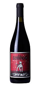 Canlibero Turrumpiso Aglianico