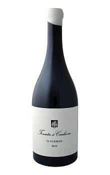 Ten. di Carleone Il Guercio