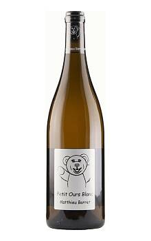Matthieu Barret Petit Ours Blanc