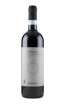 Garrone Prünent