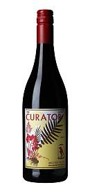 A.A. Badenhorst The Curator