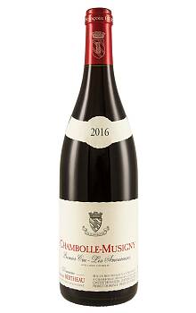 Bertheau Chambolle-Musigny Amoureuses
