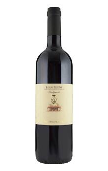 Pilastri Rosso Piceno Vigna Piediprato
