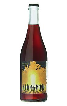 Solhøi Cider Aromia