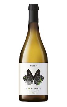 Javier Sanz V Malcorta