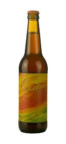 Hadeland Håndverksbryggeri Endelig IPA
