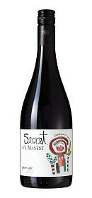 Secret de Viu Manent Pinot Noir