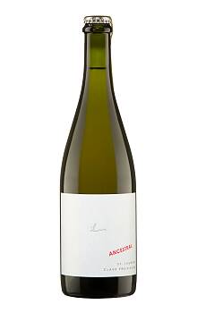 Claus Preisinger St. Laurent Ancestral Perlwein