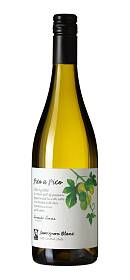 Pico a Pico Sauvignon Blanc