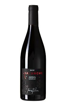 Fabien Trosset Avalanche Arbin Mondeuse