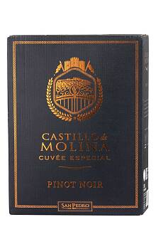 Castillo De Molina Pinot Noir
