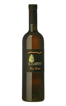 Il Carpino Vis Uvae