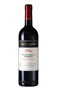 Domìni Veneti Torbae Valpolicella Ripasso Classico Superiore