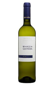 Alves de Sousa Branco da Gaivosa