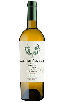 Frontonio Microcosmico Macabeo
