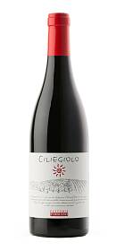 Fattoria Fibbiano Ciliegiolo