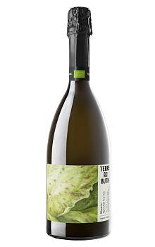 Terre dei Buth Special Cuvée Bianco Brut