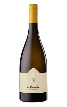 Cantina Lavis Arcadia Trentino Pinot Grigio
