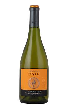 MontGras Antu Single Vineyard Chardonnay