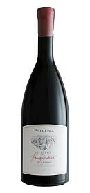 Il Borro Petruna Sangiovese in Anfora