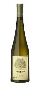 Bellaria Oltre Greco di Tufo