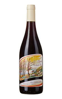 Pierre Gaillard Syrah La Derniere Vigne